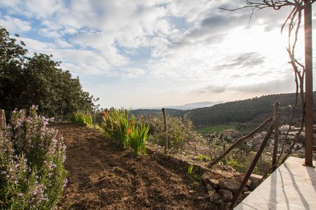Charming house with amazing views in Bunyola