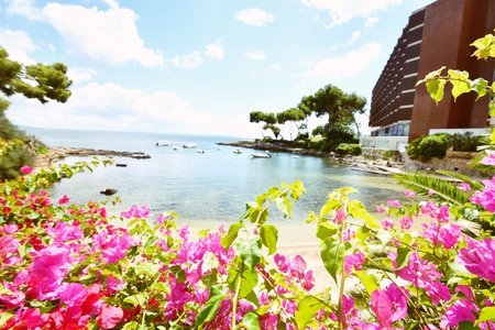 High quality apartment on the first sea line