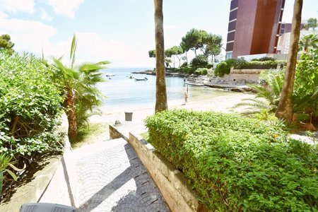Luxurious apartment by the sea