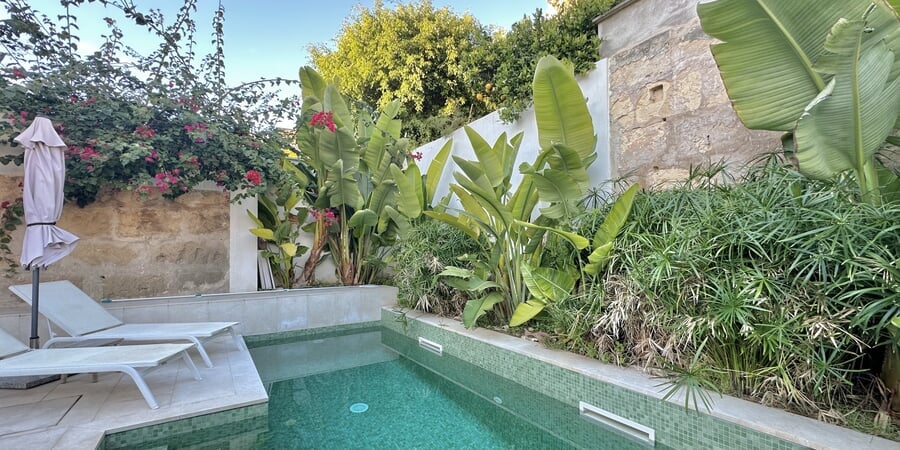 Brand new Townhouse with Pool in Son Espanyolet