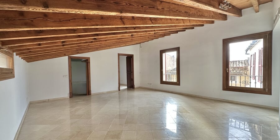 Spacious attic apartment in La Lonja