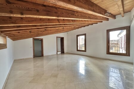 Spacious attic apartment in La Lonja