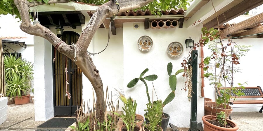 Nice apartment with private outdoor space in Cala Nova